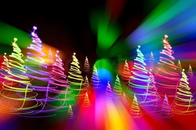 Christmas Forest As Very Nice Holiday Backgrounds