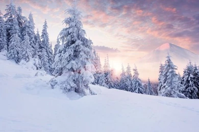 Aliexpress.com : Buy 8x8ft Promotion Vinyl Winter Photography ...