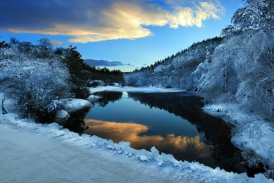 Winter Dark Lake Wallpapers