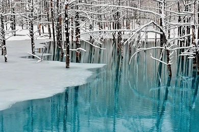 Winter Lake [1920x1080] : Wallpapers