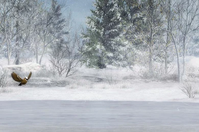 Free Screensavers And Wallpapers   7Screensavers.com