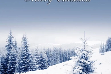 Aliexpress.com : Buy 10x10ft Nice Christmas Vinyl Photography ...