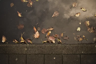 The Window   Wallpapers By MalooF On DeviantArt