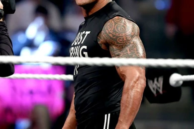 Angry Birds Wallpaper: THE ROCK NEW HD WALLPAPERS