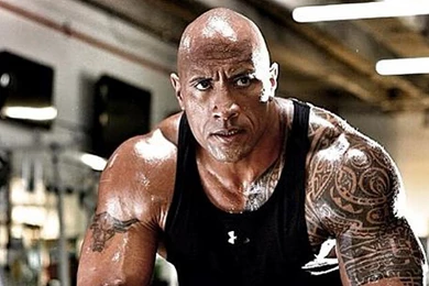 16 Quality The Rock Wallpapers, Celebrity