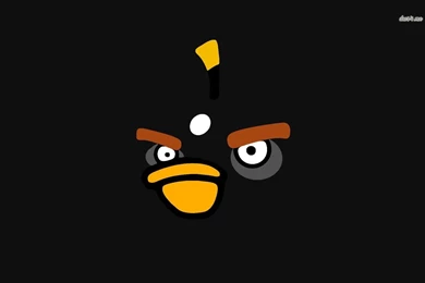 Black Bird Angry Birds Wallpapers Game Wallpapers