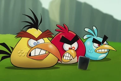 Angry Birds Wallpapers Download PC 45836 Desktop Wallpapers
