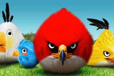 Angry Birds Computer Wallpapers, Desktop Backgrounds