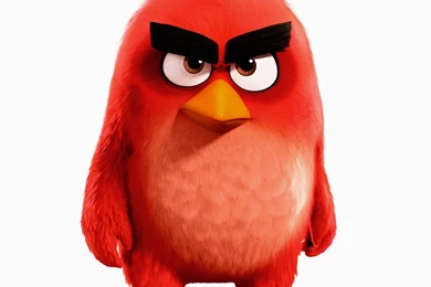 RED Angry Birds Movie Wallpapers   HD Wallpaper Backgrounds Of ...