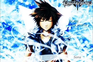 Kingdom Hearts 2 Wallpapers