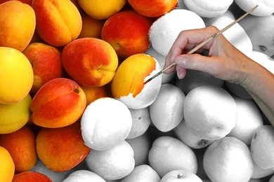 Kane Blog Picz: Wallpapers Giv