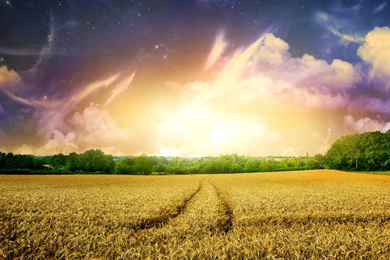 Unique Wallpapers 102