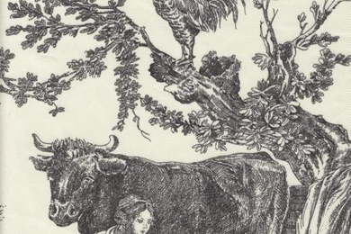 Black And White Toile   HD Wallpapers And Pictures