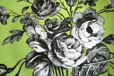 Black And White Toile On Green Roses Basket Rosanna Plate D ...