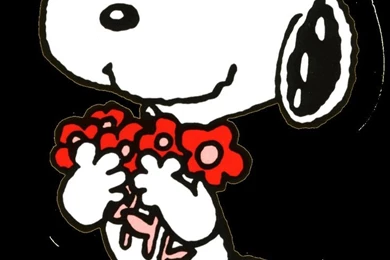 Snoopy Cartoon Backgrounds For Computer Wallpapers