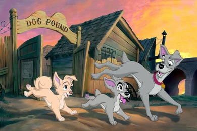 Lady And The Tramp Wallpapers