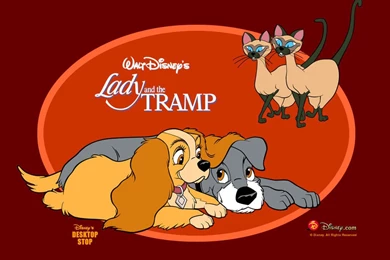 Lady And The Tramp Wallpapers   Lady And Tramp Wallpapers (2428255 ...