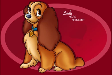Lady And The Tramp Cartoon Wallpapers   1344x952   141516