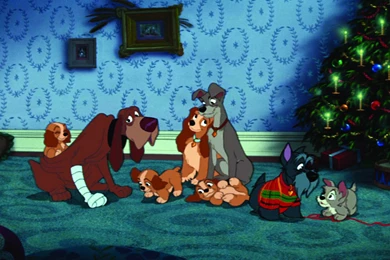 Lady And The Tramp For Backgrounds 1