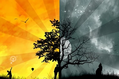 Tree Of Life On Pinterest