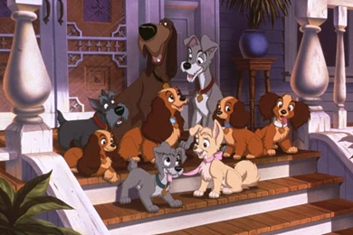 10769_ledi i brodyaga_or_lady and the tramp_1024x768_www.Gde Fon.com.jpg