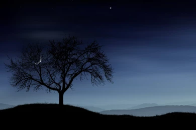 Cool, Wallpapers, Vladstudio, Backgrounds, Michel (