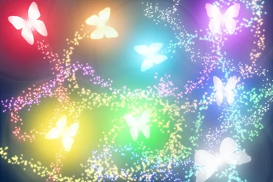 Butterflies Wallpapers Collection (45+)
