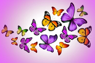 Butterflies Wallpapers Full HD [4096x3072]   Free Wallpapers Full Hd ...