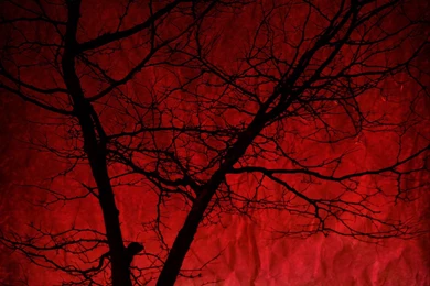 Blood Red Backgrounds By Nabilel17 On DeviantArt