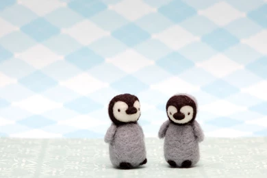 Baby Penguin 2 Free Hd Wallpapers   Hivewallpaper.com