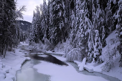 Free Nature Wallpapers Hd Landscape 4 Wallpapers 1920x1200 Wallpapers ...