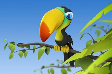 1024x768 Colorful Parrot Desktop PC And Mac Wallpapers