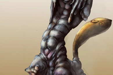 Wobbuffet   DeviantArt