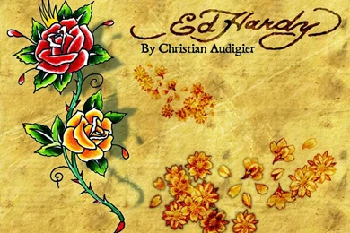 Cute HD Pictures: Wallpapers Ed Hardy