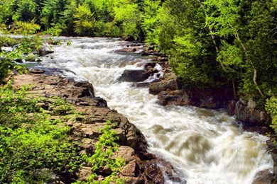 Torrent In Forest Wallpapers   HD Wallpapers 24918