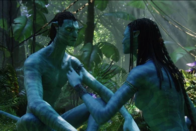 Avatar Neytiri And Jake Wallpapers