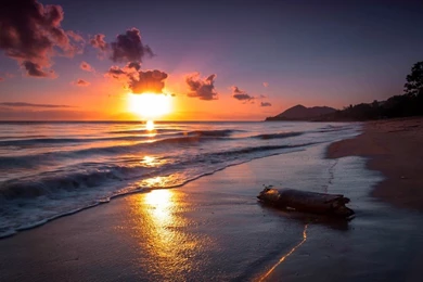 Download Nature Wallpapers Torrent Torrent   Kickass Torrents