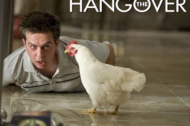 Free Torrent The Hangover Movie Computer Desktop Wallpapers