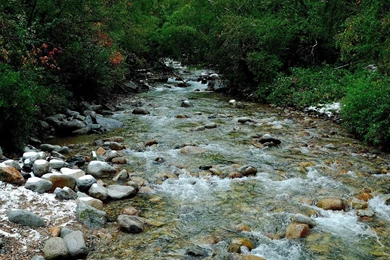 Nature Torrent Wallpapers