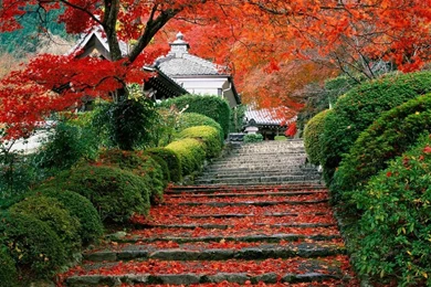Cool Japanese Garden With Artistic Design Ideas