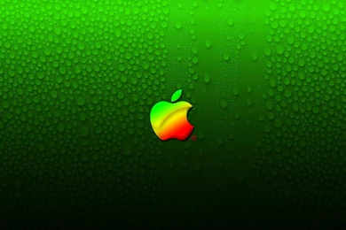 Apple wallpaper hd live wallpaper for pc 1024x768.jpg