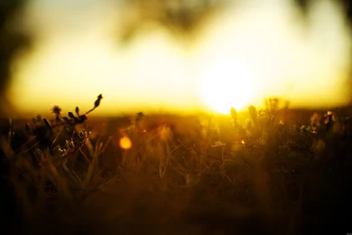 Download Day Life Wallpapers 2560x1600