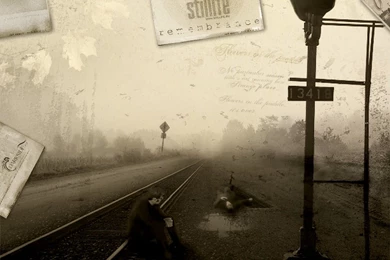 My Free Wallpapers   Abstract Wallpapers : Still Life