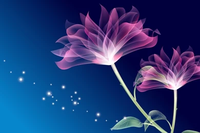 HD Magic Wallpapers And Photos