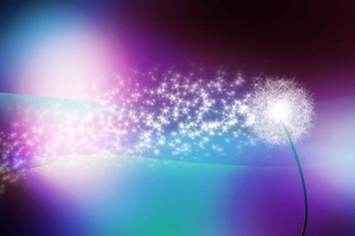 Magical HD Wallpapers   HD Wallpapers POP