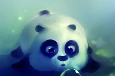Panda On Pinterest