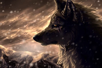 Wolf Wallpapers