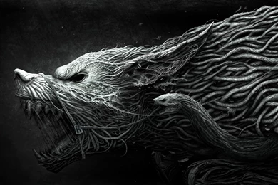 Wolf Wallpapers High Quality C2Y » WALLPAPERUN.COM