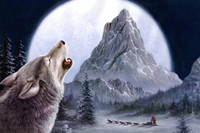 Winter Wolves Wallpapers (12)