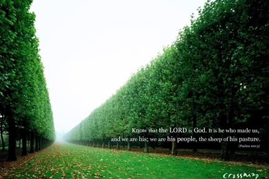 Computer Wallpapers Websites 12805 HD Wallpapers